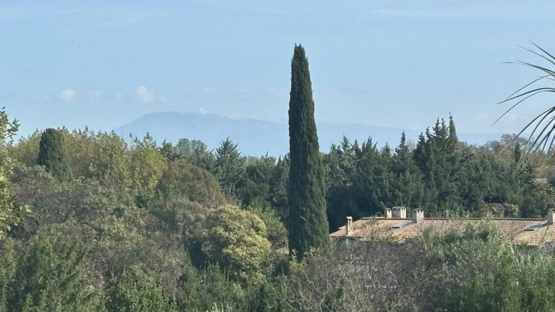 Hotel Particulier D'Hote Le Philippe-Le-Bel Villeneuve-lès-Avignon